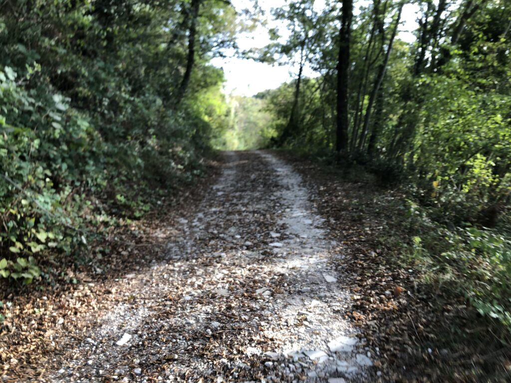 La Via dei Berici Gravel