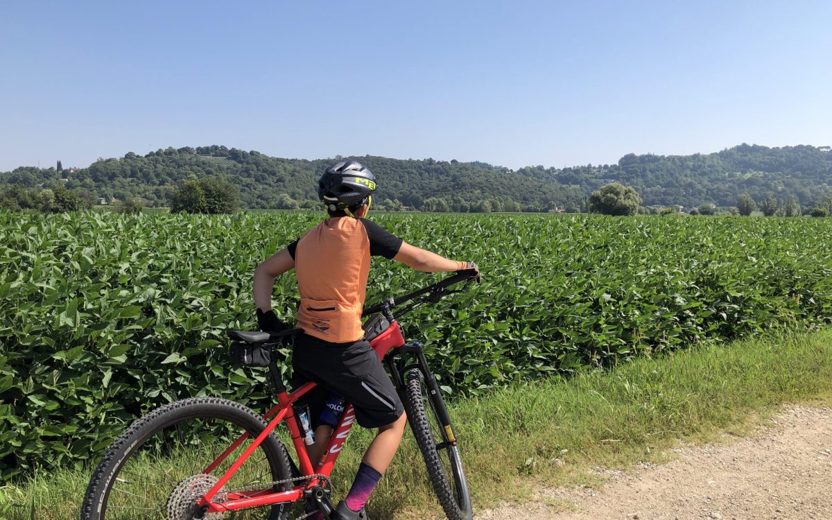 Anello ciclabile dei Colli Berici